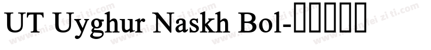 UT Uyghur Naskh Bol字体转换